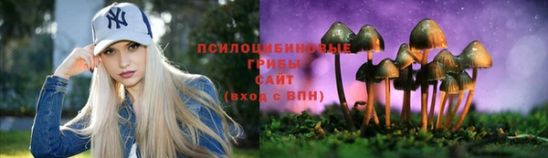 2c-b Алексин