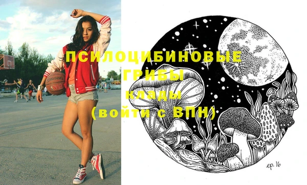 2c-b Алексин