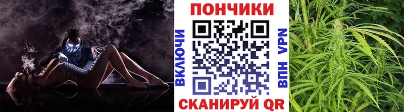 Бошки Шишки семена  даркнет сайт  Отрадная 